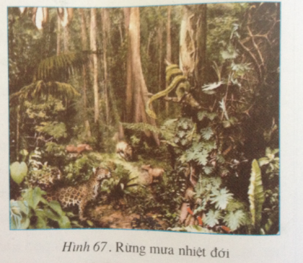 1589872141-tra-loi-cau-hoi-dia-li-6-bai-27png.png