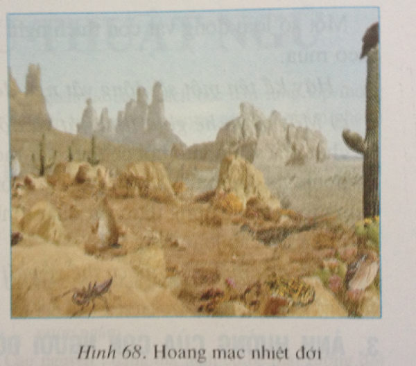 1589872154-tra-loi-cau-hoi-dia-li-6-bai-27-1png.png