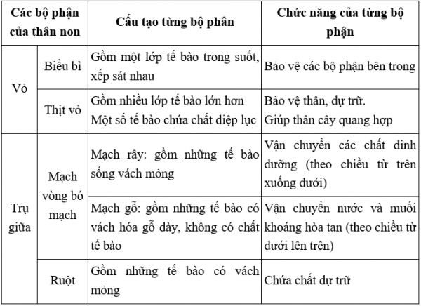 1589902572-ly-thuyet-trac-nghiem-cau-tao-trong-cua-than-non-00png.png