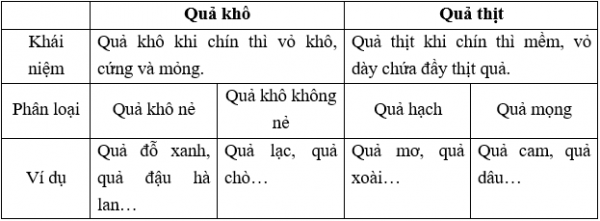 1589933689-ly-thuyet-trac-nghiem-cac-loai-qua-02png.png