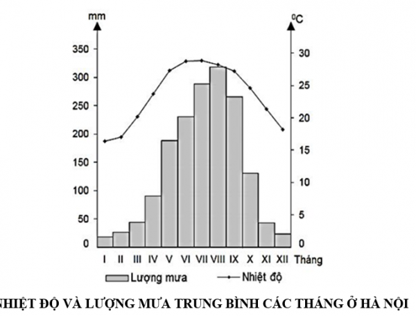 1591081587-trac-nghiem-bang-bieu-do-bang-so-lieu-nhan-xet-bieu-do-39png.png