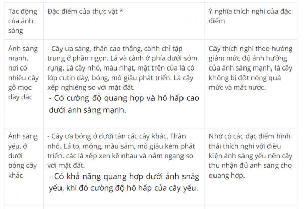 1592885025-capture-2png.png