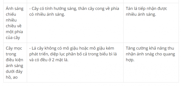 1592885033-capture-3png.png