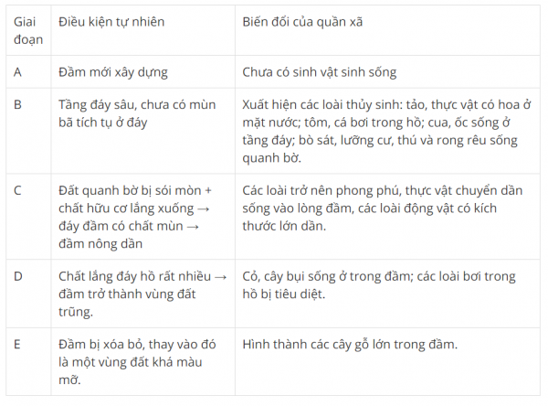 1592886350-capture-13png.png