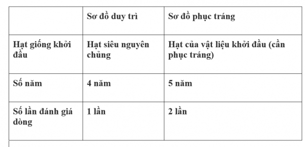 1593230245-capture-4png.png