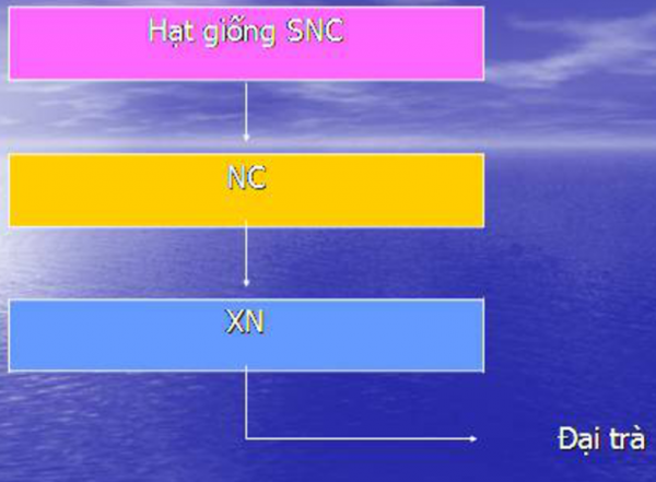 1593233980-capture-6png.png