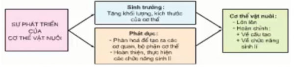 1593236076-capture-9png.png
