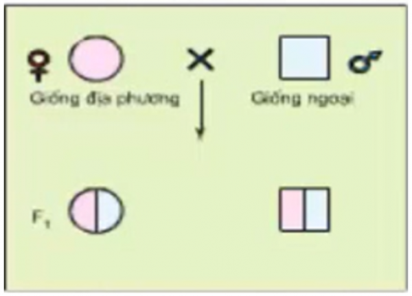 1593238156-capture-12png.png