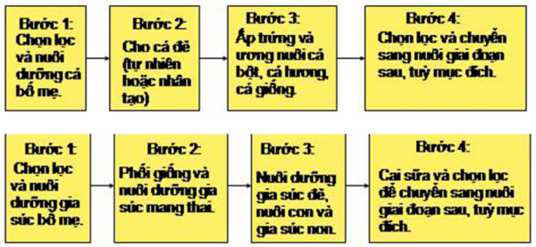 1593238596-capture-15png.png