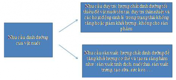 1593239056-capture-18png.png