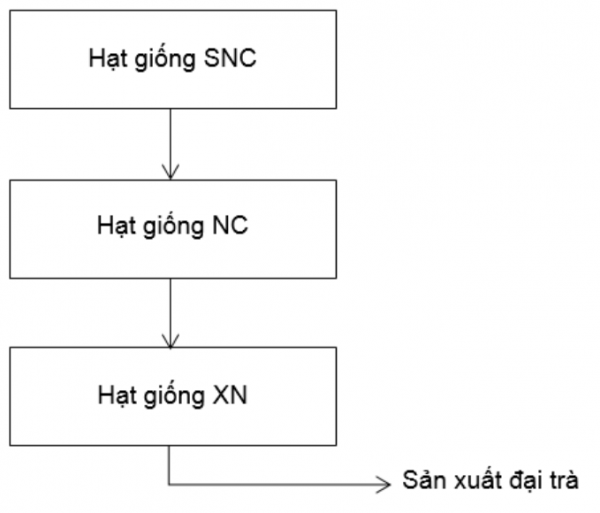 1593314073-capture-25png.png