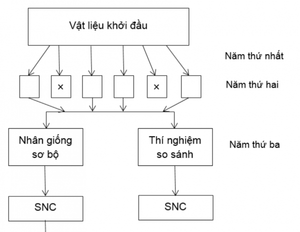 1593323463-capture-1png.png