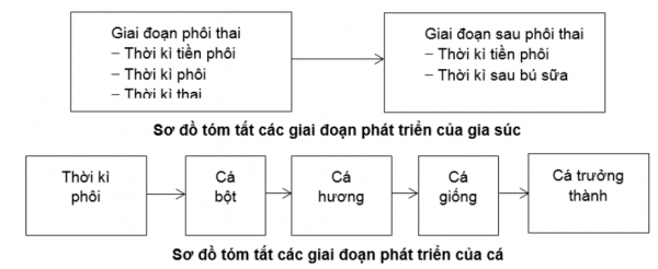 1593325112-capture-10png.png