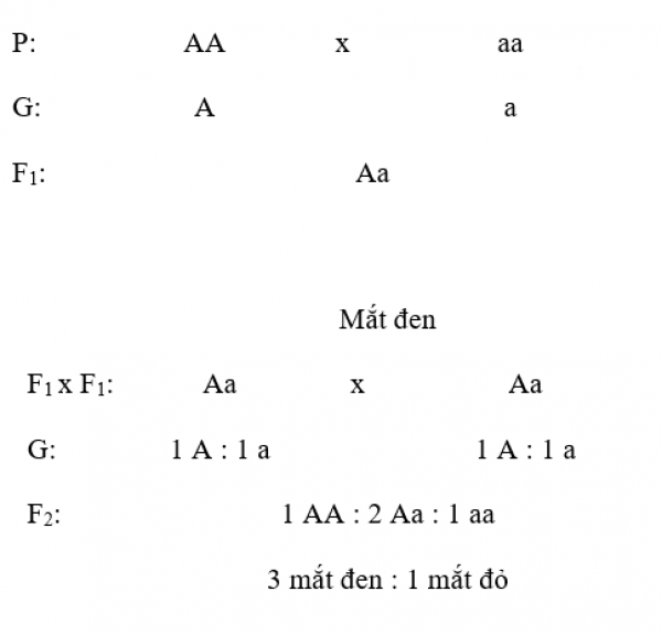 1594014730-cpng.png