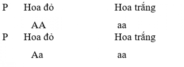 1594014829-dpng.png