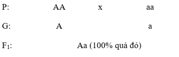 1594015234-3png.png