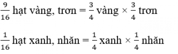1594015489-6png.png