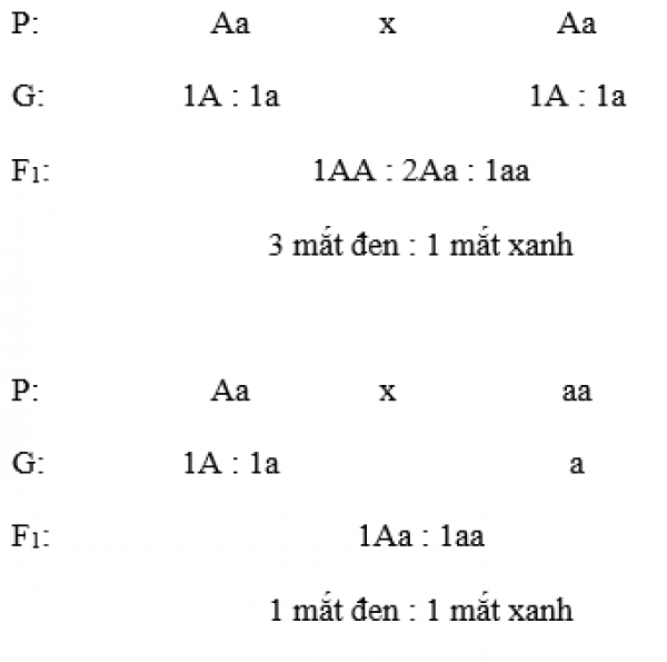 1594016021-10png.png