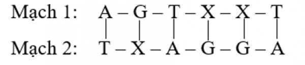 1594017796-16png.png
