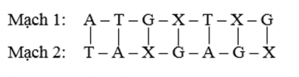1594018082-4png.png