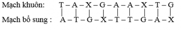 1594018151-5png.png