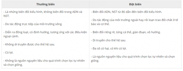 1594019151-6png.png