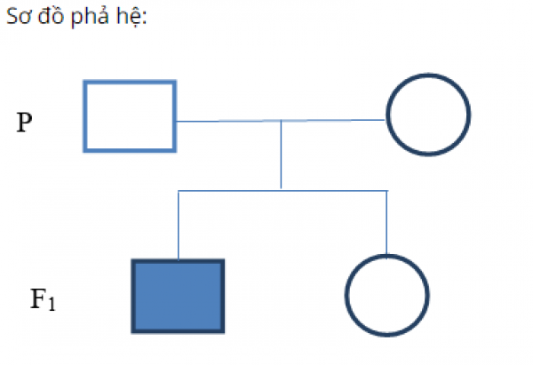 1594019407-7png.png