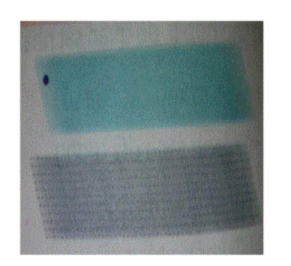 1594031497-capture-19png.png
