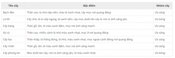 1594129065-16png.png