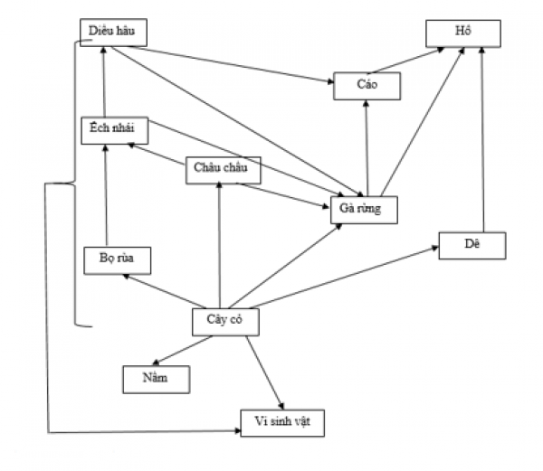 1594130445-9png.png