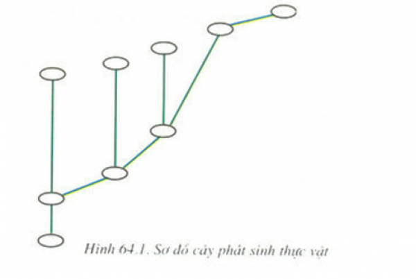 1594134294-11png.png