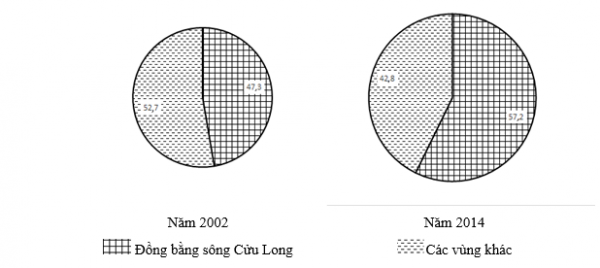 1594261946-19png.png
