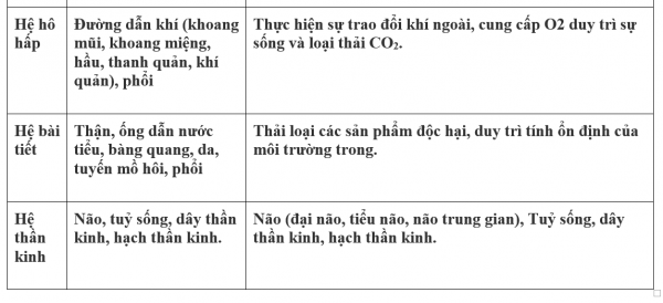 1594343037-41png.png