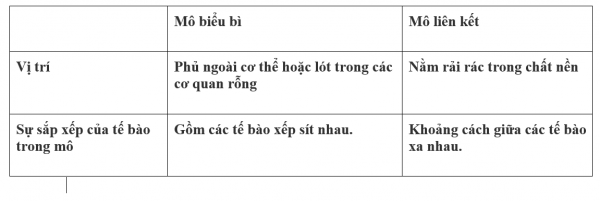 1594343389-3png.png