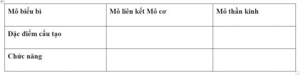 1594343484-5png.png