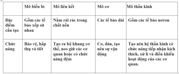 1594343718-6png.png
