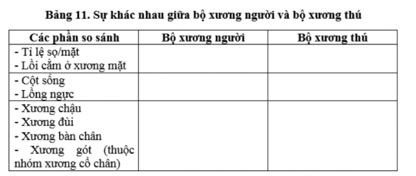 1594344466-11png.png