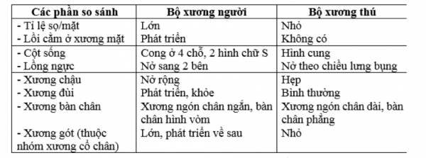 1594344499-12png.png