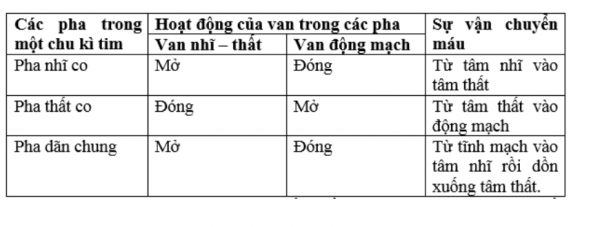 1594345308-22png.png