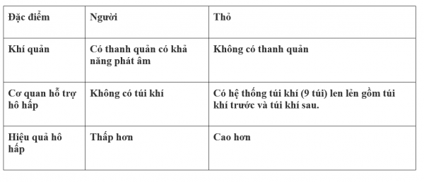 1594345794-26png.png