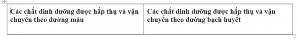 1594347177-34png.png