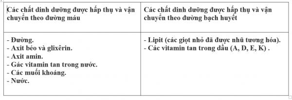 1594347217-35png.png