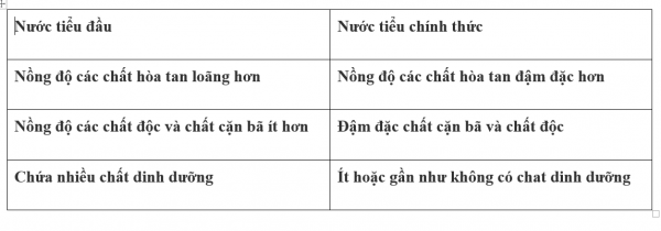 1594348646-47png.png