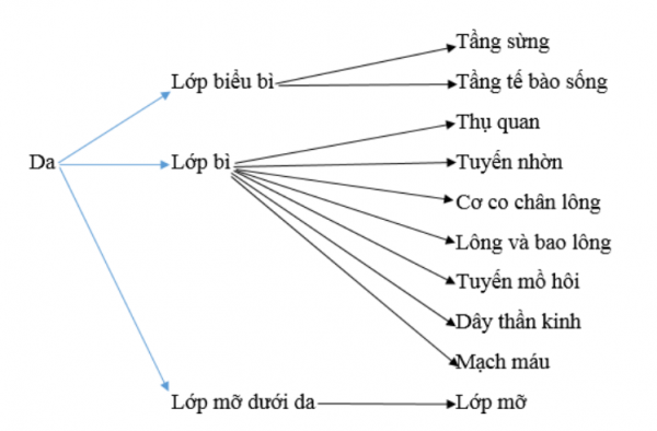 1594348894-50png.png