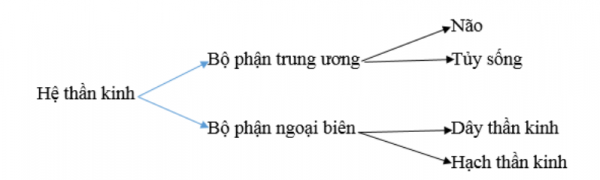 1594349274-6png.png