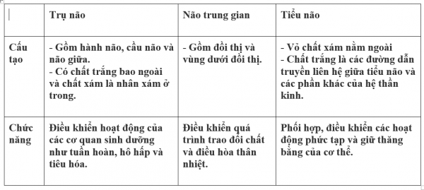 1594349524-10png.png