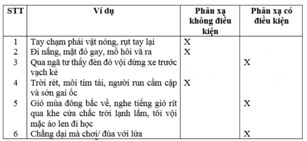 1594350226-16png.png
