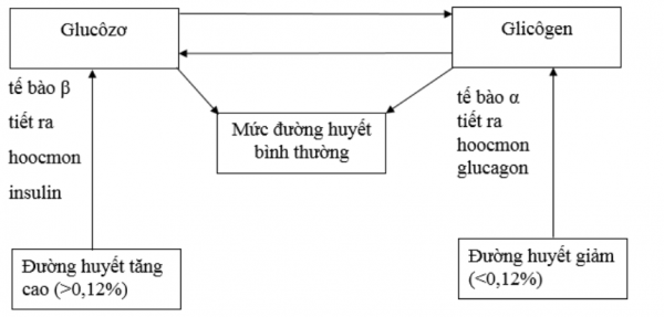 1594350868-25png.png