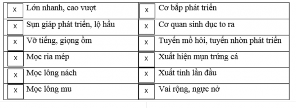 1594350948-27png.png