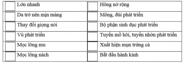 1594350984-28png.png